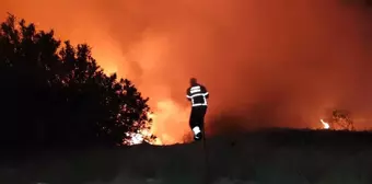 Hatay'da Orman Yangını Kısa Sürede Söndürüldü