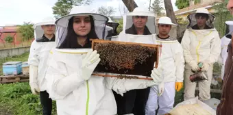 Samsun'da Öğrenciler Arıcılık Dersi ile İlk Bal Hasadını Yaptı