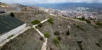 Yol Olmadığı İçin Kabir Ziyaretini Dürbünle Yapıyor