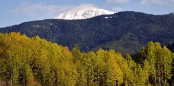 Ilgaz Dağı'nda Sonbahar ve Kış Aynı Anda Yaşanıyor