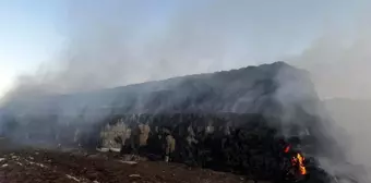 Cizre'de Saman Balyaları Yangında Tükendi