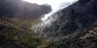 Adıyaman'da Orman Yangını Söndürme Çalışmaları Devam Ediyor