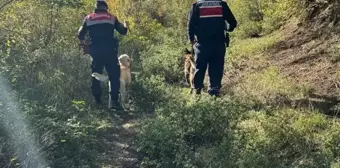 Karabük'te Kayıp Yaşlı Adam İçin Arama Çalışmaları Devam Ediyor