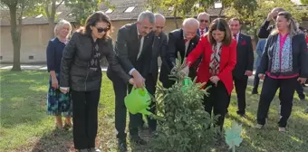 Edirne'de Cumhuriyet'in 101. Yılı İçin Fidan Dikimi ve Etkinlikler Düzenlendi