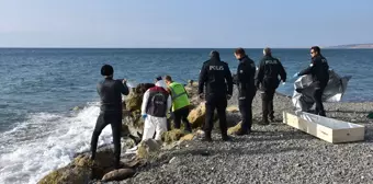 Tekirdağ'da deniz kenarında kadın cesedi bulundu