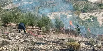 Hatay'da Zeytinlik Alanda Yangın Söndürüldü