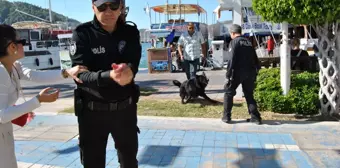 Cumhuriyet Bayramı Kutlamasında Kurt Köpeği Polisi Yaraladı