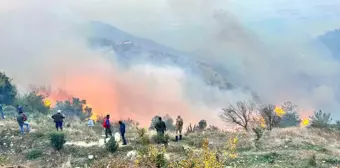 Hatay'da Orman Yangınına Müdahale Devam Ediyor