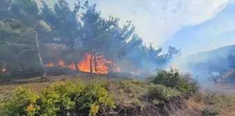 Hatay'ın Arsuz ilçesinde orman yangını kontrol altına alınmaya çalışılıyor