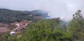 Hatay'da Orman Yangınına Müdahale Başladı