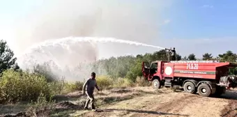 Hatay'da Orman Yangını Büyüyor