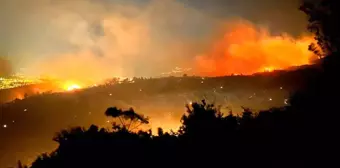 Hatay'da Orman Yangını 8 Saat Sonra da Sürüyor