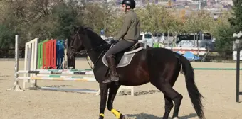 Kocaeli'de Emekli Atlar, Çocuklara Biniciliği Öğretiyor