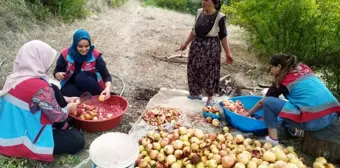 Gazipaşa'da Vefa Sosyal Destek Grubu 411 Hane Ziyareti Gerçekleştirdi