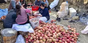 Adana Feke'de Nar Ekşisi Üretimi Başladı