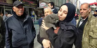 Çorum'da Doğal Gaz Patlaması Sonrası Mahsur Kalan Kedi Kurtarıldı