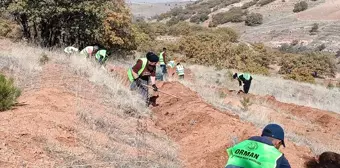 Kayseri'de Bal Ormanı Projesi hayata geçiriliyor