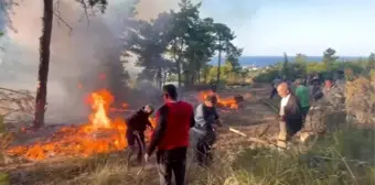 Antalya'da Hava Aracı Ormanlık Alana Düştü