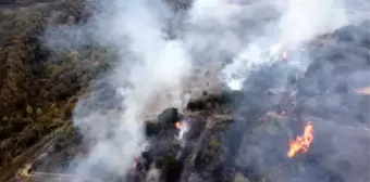 Çanakkale'nin Biga İlçesinde Orman Yangını