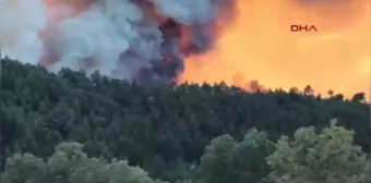 Bursa'da Orman Yangınına Büyük Müdahale