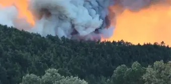 Bursa'daki Orman Yangınına Müdahele Devam Ediyor