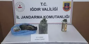 Iğdır'da Uyuşturucu Ticareti Yapan 2 Şüpheli Gözaltına Alındı