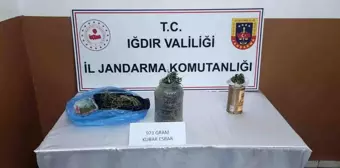 Iğdır'da Uyuşturucu Operasyonu: İki Şüpheli Yakalandı