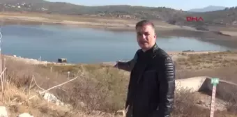 MUĞLA Bodrum'u besleyen 2 baraj kuruma noktasına geldi