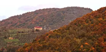 Nebiyan Dağı'nda Sonbahar Güzellikleri