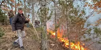 Kütahya'da Çıkan Yangınlar 6,2 Hektar Alanı İle Zarar Verdi