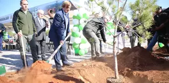 Milli Ağaçlandırma Günü'nde Fidanlar Toprakla Buluşturuldu