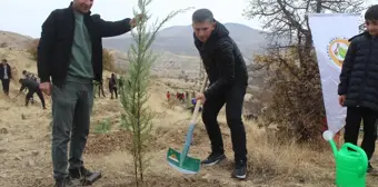 11 Kasım Milli Ağaçlandırma Günü'nde Fidan Dikimi Etkinlikleri