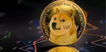 Aradaki fark dudak uçuklattı! 2013'te 100 dolarlık Dogecoin alsaydınız bugün ne kadar paranız olurdu?