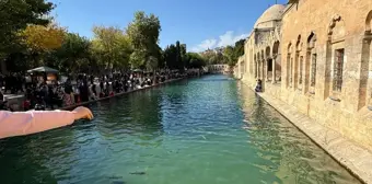 Şanlıurfa'nın Balıklıgöl Yerleşkesi Yerli Turistlerle Dolu