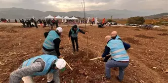 Bilecik'te Mahkumlar Fidan Dikimi Yapıldı