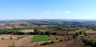 Çankırı'da Çeltik Üretiminde Rekor Verim Elde Edildi