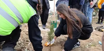 İstanbul Üniversitesi-Cerrahpaşa'da 1071 Fidan Dikimi Gerçekleşti