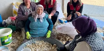 Başkan Bulut, Ordulular Derneği Başkanı Cıbır'ı Ağırladı