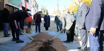 Elazığ'da Organik Mercimek Üretiminde Artış