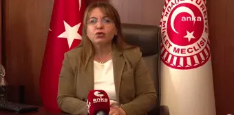 'Etki Ajanlığı' Tartışmaları... Gülizar Biçer Karaca: 'Bu Kadar Baskıcı Bir İktidarın Elinde Bu Mesele Türkiye'nin Tamamının Susturulması Demektir'