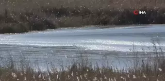 Kars'ta Lavaş Gölü Dondu