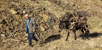 Sonbaharın Renkleri Fotoğraf Tutkunlarını Bitlis'te Buluşturdu