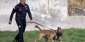 İHH Arama Kurtarma Köpeği Bozo, Sınavda Birinci Oldu