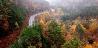 Kazdağları'nda Sonbahar Renk Cümbüşü