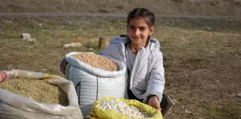 Ata Tohumları ile Ekonomisini Güçlendiriyor