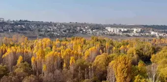 Diyarbakır Hevsel Bahçeleri'nde Sonbahar Renk Cümbüşü