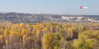 Diyarbakır Hevsel Bahçeleri'nde Sonbahar Renkleri