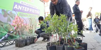 Konya'da Çiftçilere Antep Fıstığı Üretimi Desteği