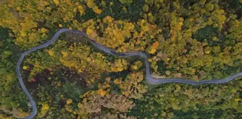 Kastamonu'nun Sonbahar Güzellikleri: Abana ve Bozkurt Ormanları