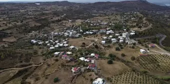 Manavgat'taki Orman Yangını Sonrası Doğa Yeniden Canlanıyor